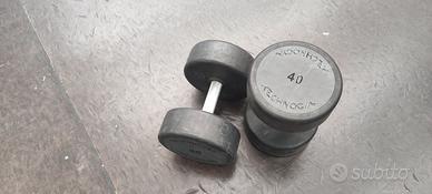 COPPIA MANUBRI TECHNOGYM 40KG