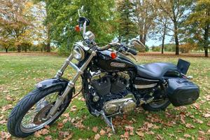 HARLEY DAVIDSON SPORTSER 1200 XL ISCRITTA ASI