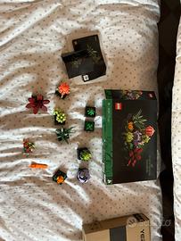 Set lego botanical collection succulent