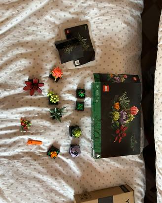 Set lego botanical collection succulent