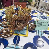 PRESEPE IN MINIATURA