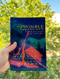 🌌 The Invisible Landscape – McKenna