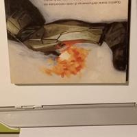 Halo fumetto