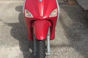 Paggio Liberty