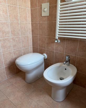 Coppia sanitari Pozzi-Ginori + rubinetteria Grohe