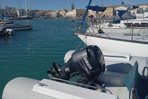 Motore fuoribordo 200 CV 2 tempi hpdi