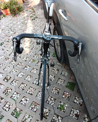 Bici giant