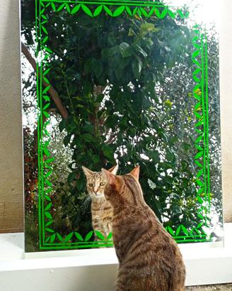 *Specchi decorati