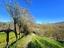 Immagine 12