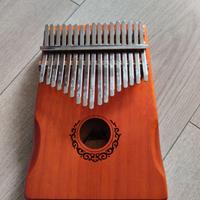 Kalimba elettrificato