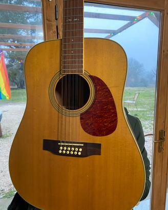 Chitarra 12 corde Cort