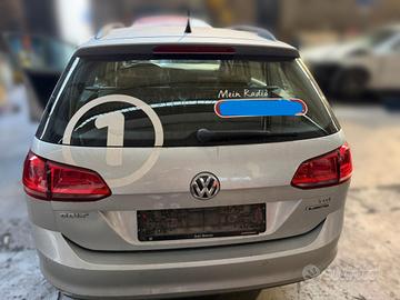 PORTELLONE GOLF VII SW