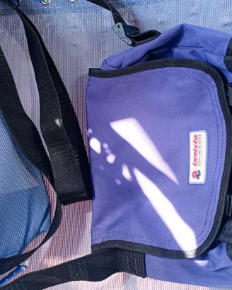Borsa invicta