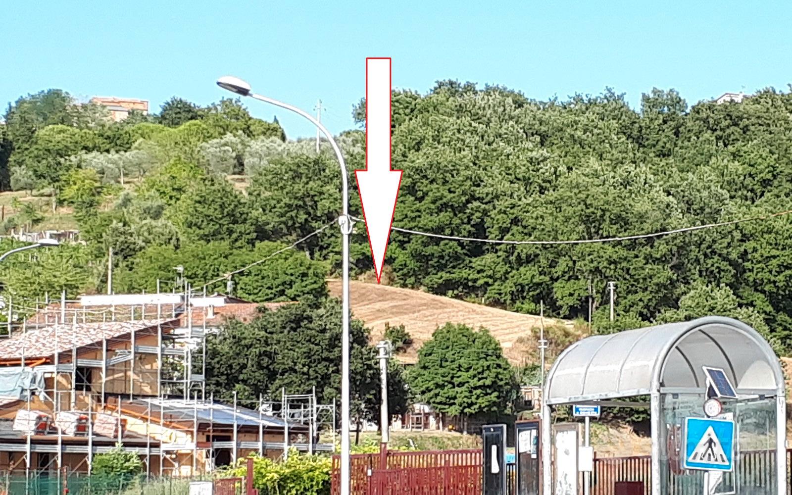 Terreno edificabile panoramico con bosco - Vista 5