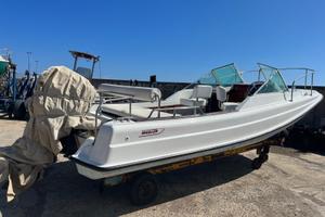 Boston whaler (barca a motore)