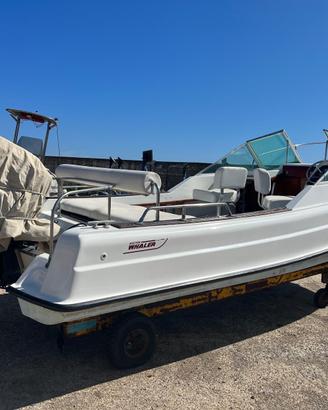 Boston whaler (barca a motore)