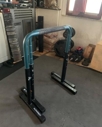 Parallele alte palestra