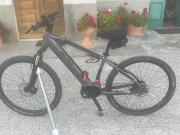 Atala b cross