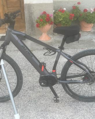 Atala b cross