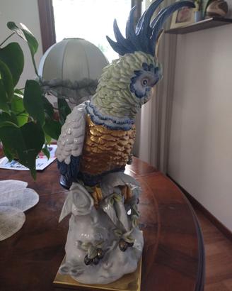 Scultura Cacatua Porcellana S.P.A. (Fi) perfetta