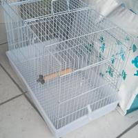 Gabbia per uccellini 