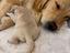 Immagine 9