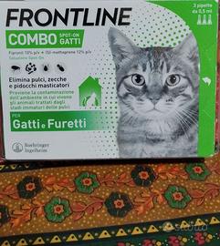 Frontline combo gatti