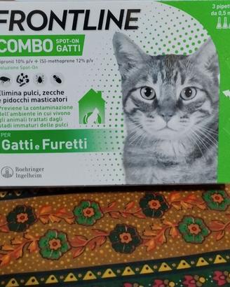 Frontline combo gatti