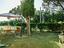 Immagine 3