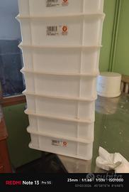 Cassette per Panetti Pizza 30x40 h 10