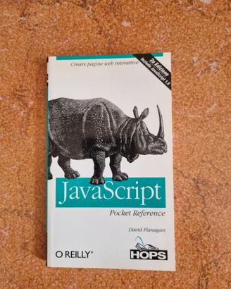 JavaScript Pocket Reference - Italiano