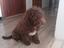 Immagine 3