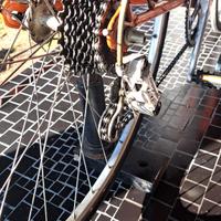 Olmo da corsa vintage 