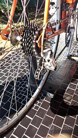 Olmo da corsa vintage 