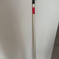 canna bolognese Daiwa 