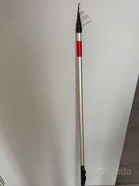 canna bolognese Daiwa 