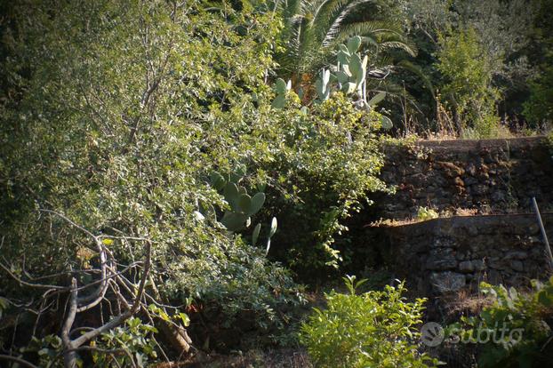 Terreno agricolo a Santa Venerina