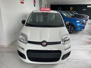 Fiat Panda 1.0 FireFly S&S Hybrid Pandina