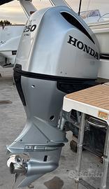 Fuoribordo Honda BF250 - 2020 - 158 ore