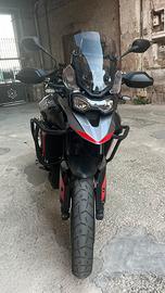 triumph tiger 900 GT 2024