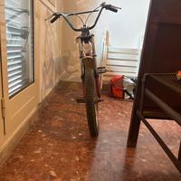 Bicicletta Torpado furio