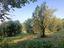 Immagine 12