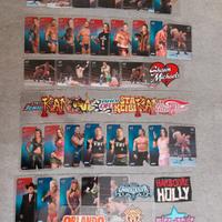 Lamincards Wrestling 