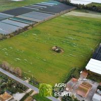 Terreno agricolo 10 ettari fronte strada con pozzo