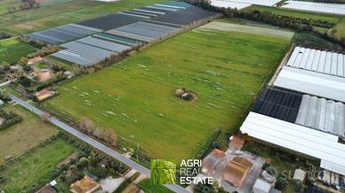 Terreno agricolo 10 ettari fronte strada con pozzo