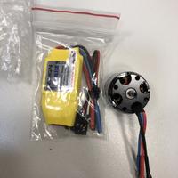 Motore esc T rex 250