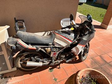 Cagiva aletta oro s2