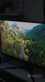 Monitor Gaming 