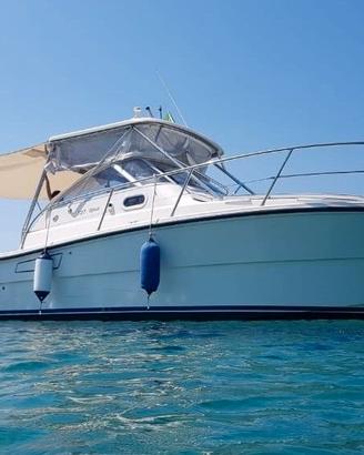 3B Craft T27 Open – Olbia - Pronta alla boa