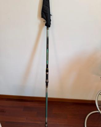 Canna surf casting